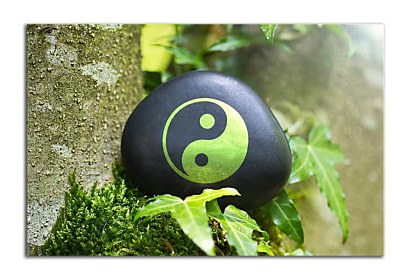 Fototapeta Feng shui Yin Yang 24788